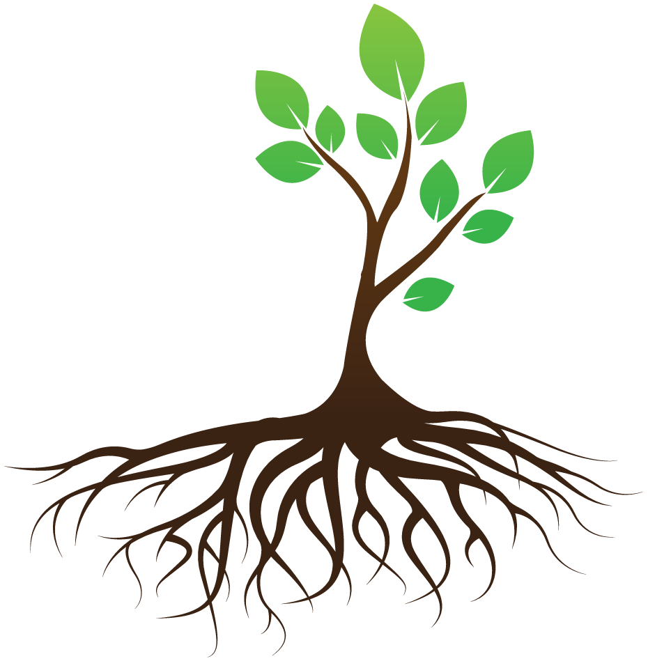 group-roots